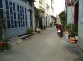 Bán Nhà Cấp 4 Đường Số 3, P9, Gò Vấp: 5x14m