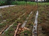 Bán Đất Chiết Bi, Phú Thượng Giá Rẽ 388Tr/Lô