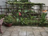Cần Bán Lô Đất Nền Công Ích .dt 6X19M.hướng Nam .phú Mỹ .q7.