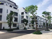 Bán Gấp Shophouse Mỹ Đình Dt 81M2 Giá Cực Hót - Hiện Nay Tôi Cần Bán Gấp Shophouse Liền Kề Mỹ Đình