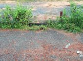 Đất Nhơn Trạch,phú Đông, Cách Cát Lái 4Km. Mt Đường Nhựa 7M