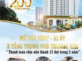 Bán Chung Cư Sài Gòn South Plaza Quận 7