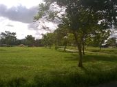 Đất Nền Khu Mỹ Đình Ngay Trung Tâm Chợ Cần Giuộc
