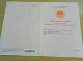 Đất Phú Quốc Kiên Giang Đầu Tư Sinh Lời Cao, Giá 200Tr/lô , Có Sổ Riêng Từng Nền . Lh: 0937070463