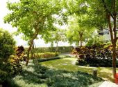 Giảm Giá Cực Sốc!!! Cần Bán Căn C33.2 Dự Án Mulberry Lane, 123m2, Giá Chỉ 2,98 Tỷ