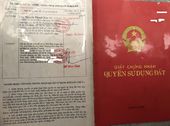 Tôi Cần Bán Gấp 600m2 Đất Trung Tâm Mỹ Phước 3 Dân Cư Đông Đúc, Tiện Ích Đầy Đủ