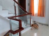 Cần Bán Nhà Chính Chủ Hẻm Xe Hơi Có Sổ Hồng Riêng Hỗ Trợ Vay Ngân Hàng Giá 5.300 Tỷ