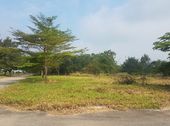 Bán Đất Gần Ngã Ba Thái Lan, Tam Phước Biên Hòa Đồng Nai, 100% Thổ Cư, Xây Dựng Tự Do 0963 252 160