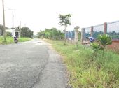 Bán Đất Thổ Cư Mặt Tiền Đường Nhị Bình 15, Hóc Môn, Tiện Xây Kho Xưởng, Biệt Thự Vườn