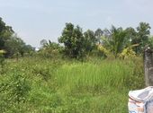 Thực Sự Rất Hot!! Đất 2 Mặt Tiền Phường Hiệp Hoà – Cách Đường Đặng Văn Trơn 70M | Gia Hoàng