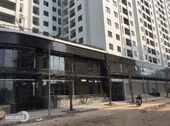 Bán Sàn Thương Mại Nằm Trong Quần Thể Ecolife Tây Hồ Với Giá Chỉ Từ 25Tr Đặc Biệt Sở Hữu Lâu Dài