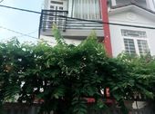 Nhà Ngay Hiệp Bình Chánh, 2 Mặt Tiền, 3 Tấm Đúc Kiên Cố, Hẻm Xe Hơi, Chính Chủ 