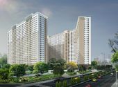 Xuân Mai Complex Giá Gốc Chủ Đầu Tư 17Tr/m2- Hỗ Trợ Lãi Xuất 0% + Ck 2%