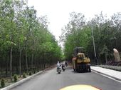 Dự Án Đất Nền Sân Bay “Hot” Nhất Long Thành Đã Có Sổ Hồng, Giá Rẻ.