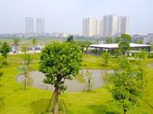 Bán Liền Kề Nam 32 Westpoint, Trực Tiếp Cđt Lũng Lô 5- Bộ Quốc Phòng , Chỉ Từ 2,6 Tỷ. Lh: 0165 965