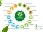 Căn Hộ Green Star Quận 7, Liền Kề Phú Mỹ Hưng, Không Gian Sống Vì Sức Khỏe Của Bạn