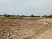 Bán Gấp 100M2 Đất Ở Mặt Tiền 835D, Sổ Hồng Riêng, 450 Triệu