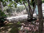 Bán Nhà Sân Vườn 1668M2 Gần Cầu Bến Lức – Long An, Ql 1A Rẽ Vào 1,8Km Giá 1,75 Tỷ