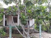 Bán Nhà Sân Vườn 1668M2 Gần Cầu Bến Lức – Long An, Ql 1A Rẽ Vào 1,8Km Giá 1,75 Tỷ