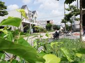 Đất Nền Chợ Huyện Châu Thành (Châu Thành Center)