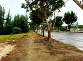 Đọc Tin Này Trước Khi Đặt Chỗ Homeland Central Park - Dự Án Hot Nhất Tại Trung Tâm Quận Liên Chiểu
