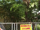 Cần Bán Lô Đất Thổ Cư Đường 6M Lê Đức Thọ, Q.gò Vấp, Dt 5,3X19,5M