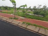 Cần Bán Gấp Lô Đất Mặt Tiền Đường 12M, Dự Án T&T Long Hậu