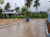 Còn 1 Lô Mặt Tiền Đường Cây Thông Ngoài Thổ Cư 100%