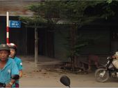 Nhà Mới 4X10m & Đất Giá Rẻ Nhập Hộ Khẩu Ngay Tp.hcm