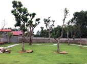 Bán 2.400M2 Đất Thổ Cư Xã Cư Yên, Huyện Lương Sơn, Hòa Bình