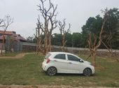 Chính Chủ Bán 2.207M2 Đất Thổ Cư Xã Cư Yên, Huyện Lương Sơn, Hòa Bình, Giá 2 Tỷ