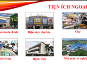 Đất Nền Dự Án Hoa Khải New Land - Sát Bên Trung Tâm Hành Chính Đức Hòa, Sổ Hồng Riêng, 5 Triệu/m2