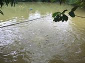 Bán 5Ha Đất Trang Trại Tuyệt Đẹp Tại Kỳ Sơn, Hòa Bình