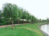Mở Bán Đợt I Dự Án Sakura Garden - Cơ Hội Sinh Lời Cực Tốt