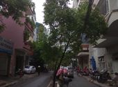 Bán Mặt tiền Đường Hoa Khu Phan Xích Long, 8X20M, Giá: 24.8 Tỷ