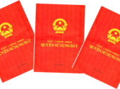 Cơ Hội Đầu Tư Sinh Lời Với Dự Án Đất Nền Đã Có Sổ Đỏ Ngay Cạnh Khu đô thị Vingroup 900Ha, Giá Rẻ