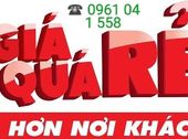 Bán Nhà 1 Trệt, 1 Lầu Có Nhà Để Ô Tô Ở An Phú, Thuận An, Bình Dương