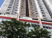 Vì Sao Căn Hộ Cao Cấp Penthouse Tại Tt Đà Nẵng Được Ví Như Singapore Thu Nhỏ