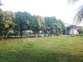 Bán Đất Đồng Nai (Vườn + Thổ Cư) 16.800M2