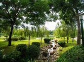 Đầu Tư Sinh Lợi Nhuận Gấp 3 Với Căn Hộ Cao Cấp Tại Trung Tâm Quận 2 Chỉ Từ 1,6 Tỷ