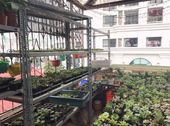 Bán Gấp Nhà Phố Nguyễn Trãi Ô Tô Tránh, Kinh Doanh, Vỉa Hè, 34M2, Tiền 3.4M, Giá 4.9 Tỷ