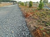 Đất Thị Trấn Long Thành 100M2 Sổ Hồng Riêng Đường Lê Duẩn