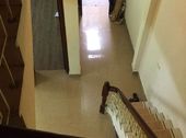 Chính Chủ Bán Nhà Ngõ 350 Kim Giang,thanh Xuân Dt50M, 4T, 2.8 Tỷ