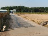 Cần Tiền Làm Vốn Kinh Doanh Bán Gáp Lô Đất.