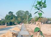 Bán Đất Nền Chính Chủ Tại Gò Dầu, Tây Ninh