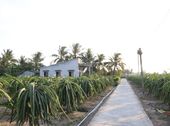 Bán Nhanh Giá Rẻ 3628M2 Đất Thổ Cư Long An, Trồng Thanh Long, Làm Nhà Xưởng, Biệt Thự Vườn