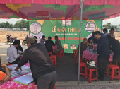 Cđt Cần Bán Gấp 1 Số Nền Dự Án Phú Hồng Khang- Phú Hồng Đạt. Có Sổ Riêng. Giá Mềm