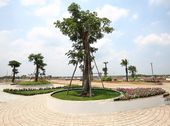 Đất Nền Dự Án Đô Thị Cát Tường Phú Hưng