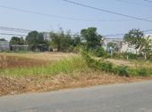 Bán Đất Cần Giuộc Long An 1000M2 ,1,5 Tỷ  Lên Thổ Được Và Phân Lô Được | Cách Nguyễn Văn Linh 15Km 