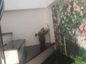 Nhà Đẹp Hoàng Hoa Thám. Đến Chỉ Việc Ở, 38M, 2,9Tỷ